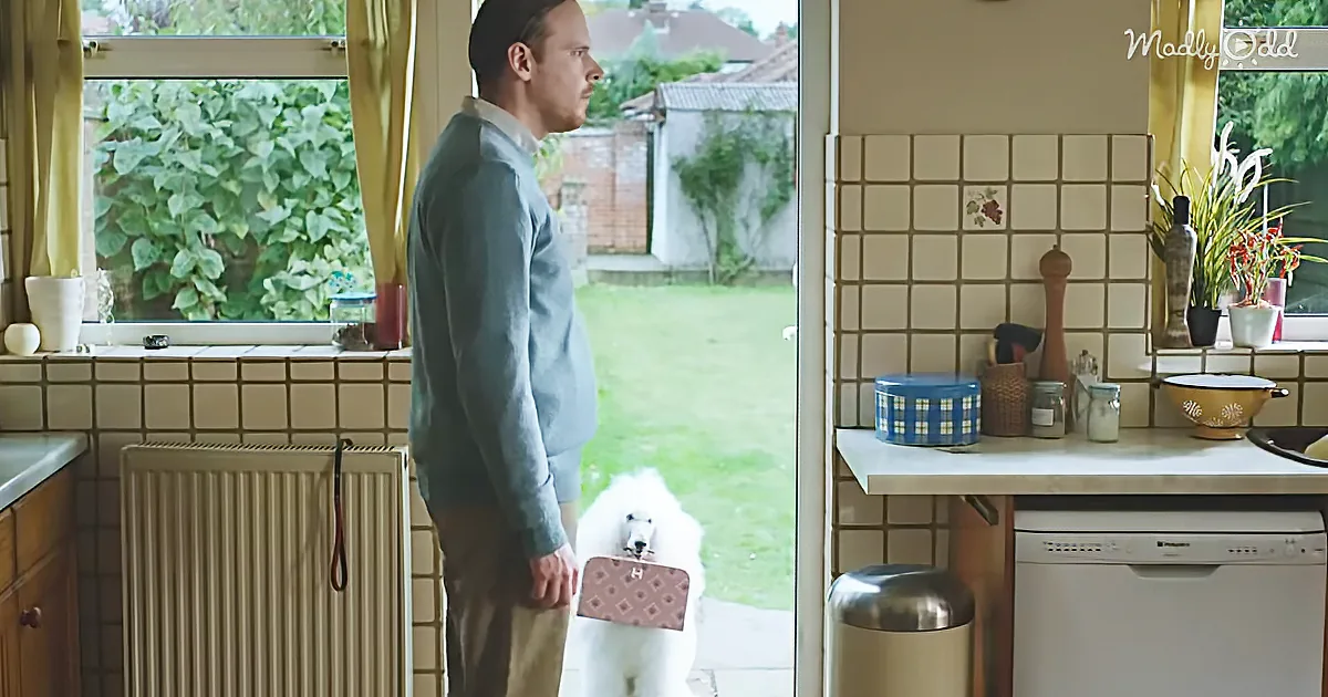 This Hilarious Ad Has Harvey the Dog From Thinkbox Inviting His Girlfriend to Move In