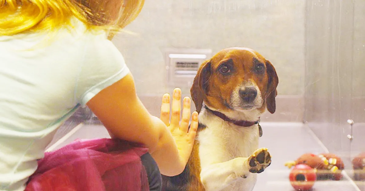 No One Adopted This Poor Dog. but Watch What Happens When This Girl Notices Him! OMG!