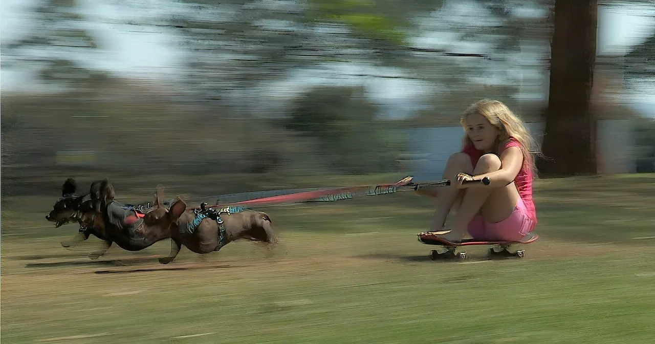A girl in pink slides down a grassy hill on a sled, with blurred trees and people in the background.