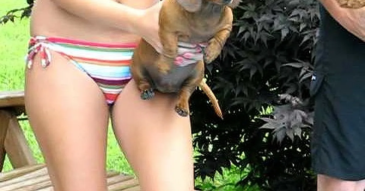 A person in a colorful bikini holds a small dog wearing sunglasses, with greenery and another person in the background.