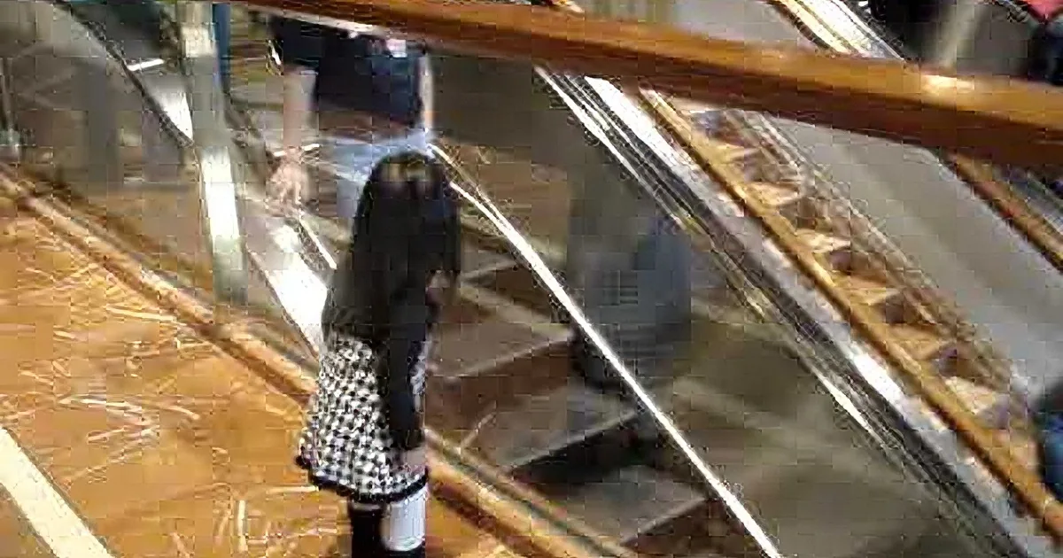 A person in a black and white checkered skirt stands on an escalator, holding onto the railing.
