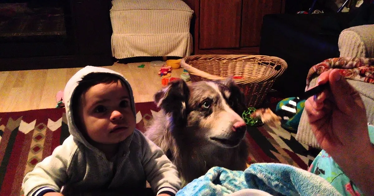 She Wants Her Baby to Say ''Mama.'' but the Dog Does This Instead and Nobody Can Stop Laughing!