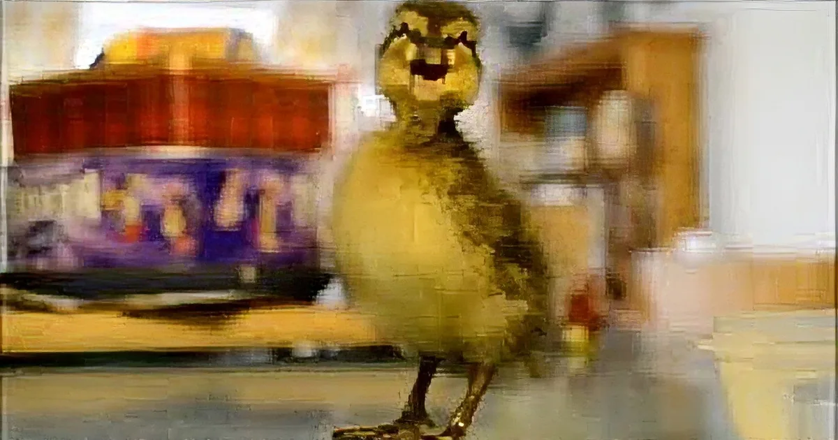 Every Time He Sees His Owner Walk by, This Tiny Duckling Does This! You''ll Be in Hysterics!
