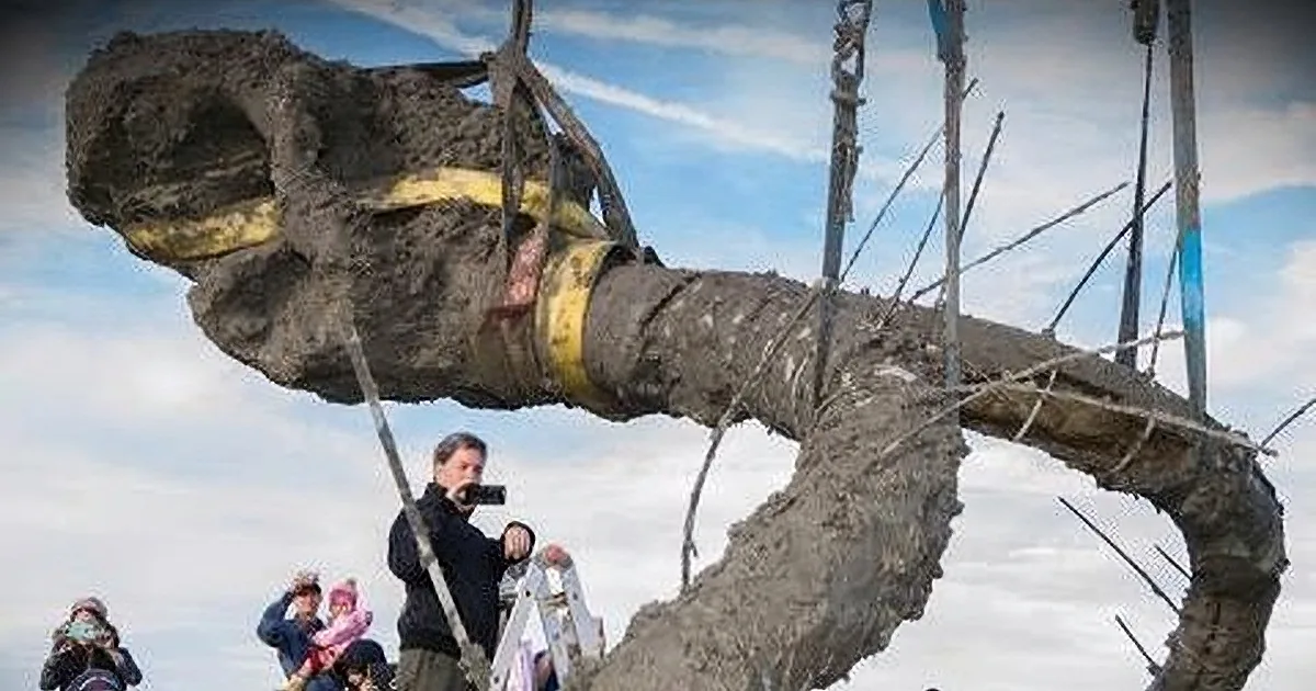 A large, muddy, yellow-taped object is suspended by ropes, with people observing below.