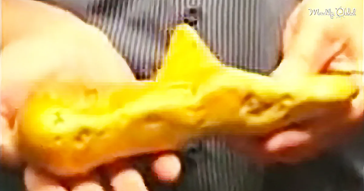 This Man Was Hoping to Find a Little Gold Nugget or Two - What He Did Find Is Crazy
