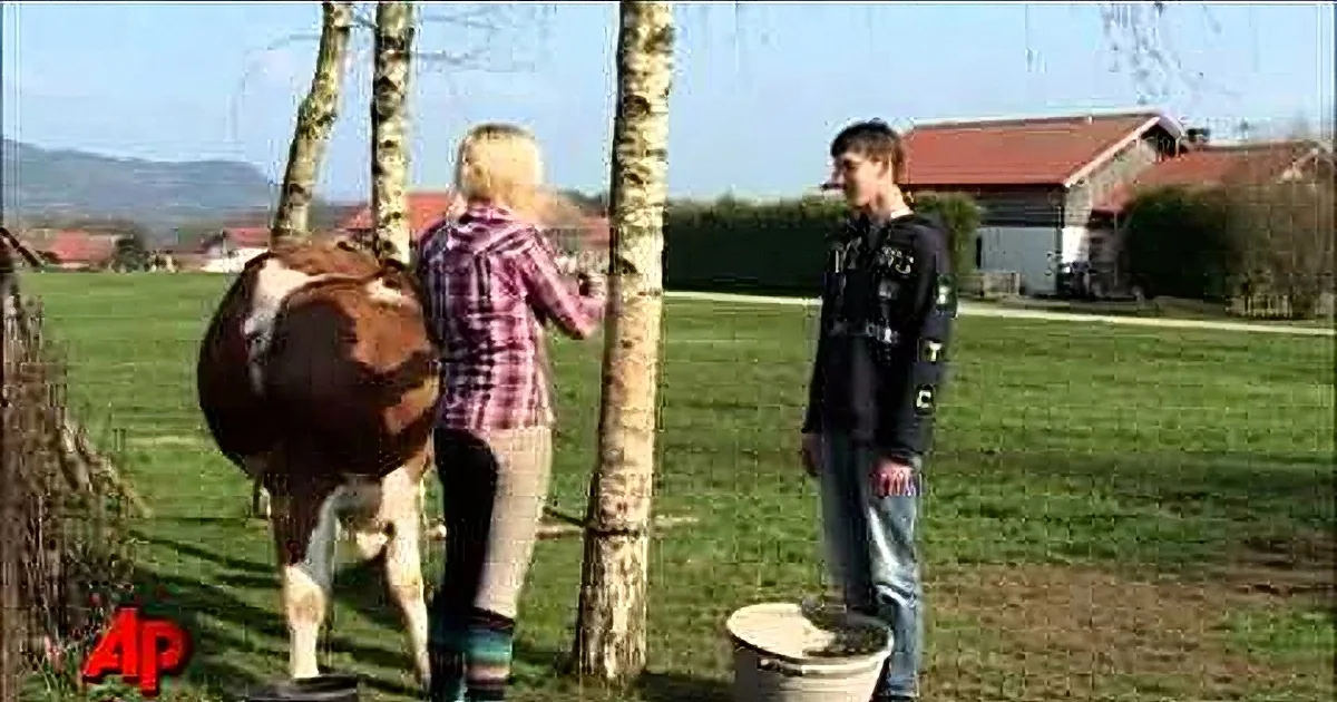 A woman milks a cow while a man watches in a rural setting with a barn and trees.