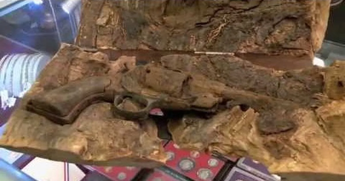 He Found This in a Tree? You Won''t Believe What He Found!
