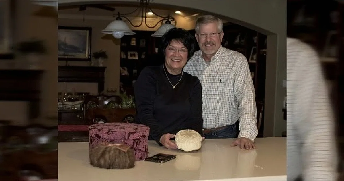100 Years After His Grandparents Became a Wedded Couple, He Found This Inside an Old Hat Box!