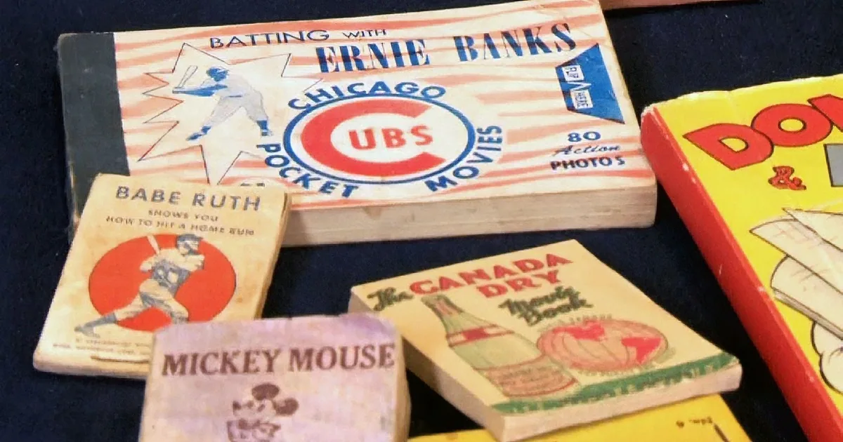 Do You Remember Looking at Flip Books? See Why This Collection Is Special!