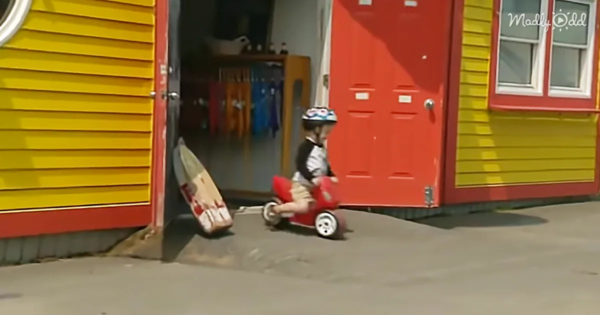 Tiny Toddler Received His First Parking Ticket. Will He Fight It?