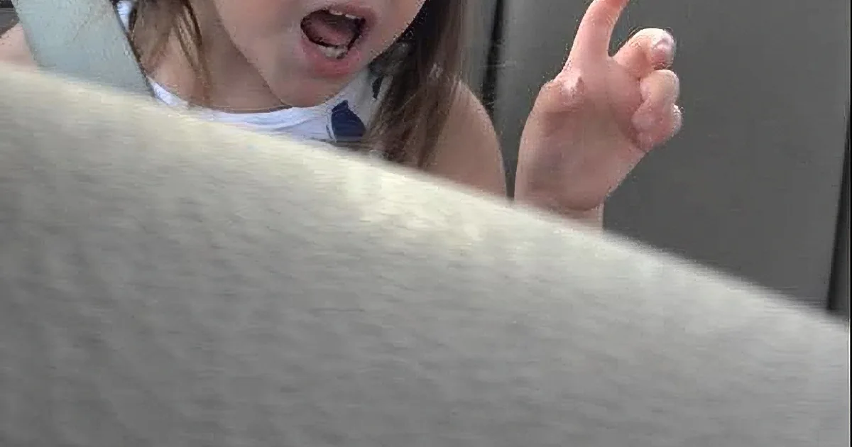 She Had No Idea She Was Being Filmed. but Watch When She Started Singing Reba''s ''Fancy!''