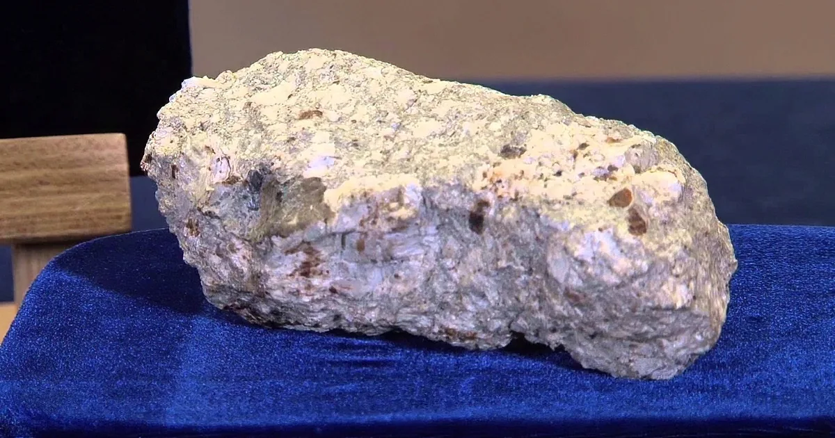 What This Man Brought in to Antiques Roadshow for an Appraisal Is Literally out of This World!