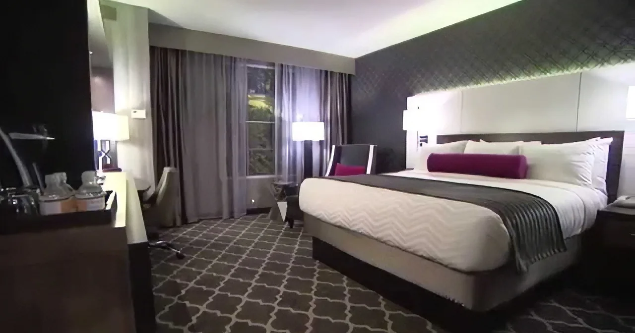 A modern hotel room with a large bed, patterned carpet, and two lamps on either side of the bed.