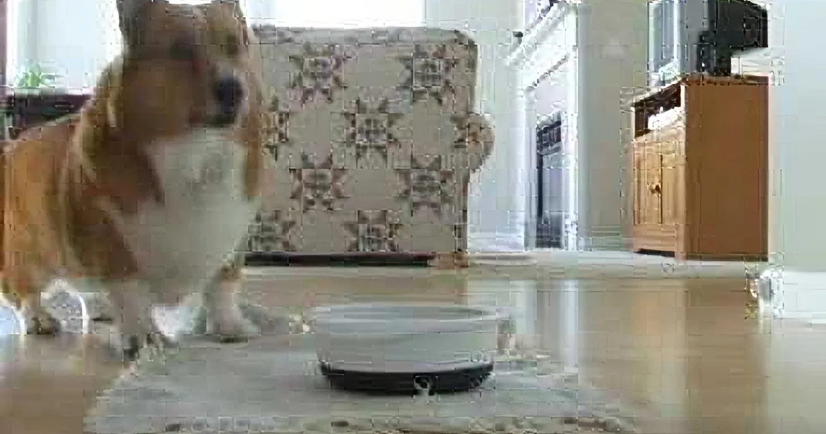 A corgi dog stands on a rug next to a white bowl in a living room.