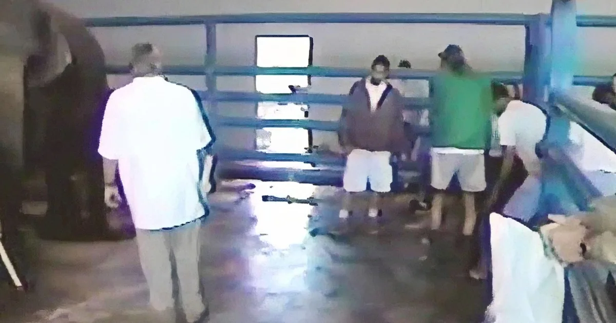 Exposing the Life of a Circus Elephant Is Not All Fun and Games, Recent Photo Shows