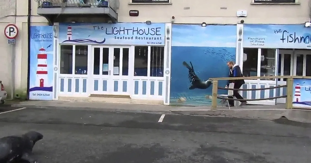 A seal leaps from the street, mid-air, near a seafood restaurant with a mural of a seal.