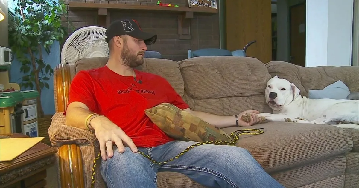 Abused Pit Bull and Veteran With Ptsd and Anxiety Help Each Other Feel Safe Again