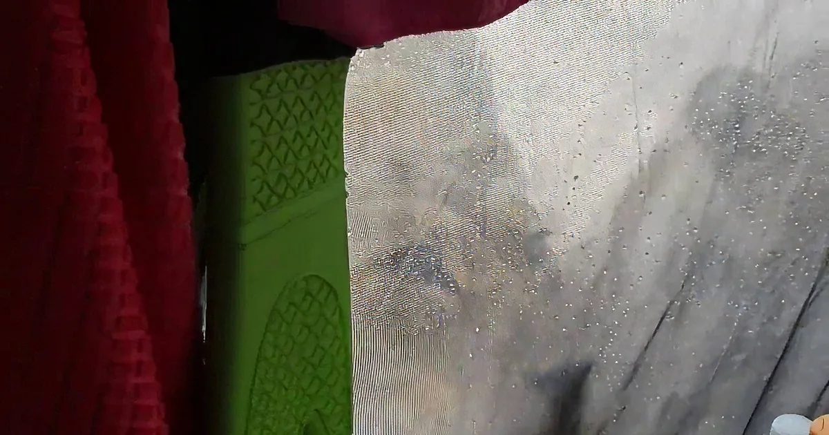 Woman on Vacation Wakes up to Three Lionesses Quietly Licking Water off Her Tent