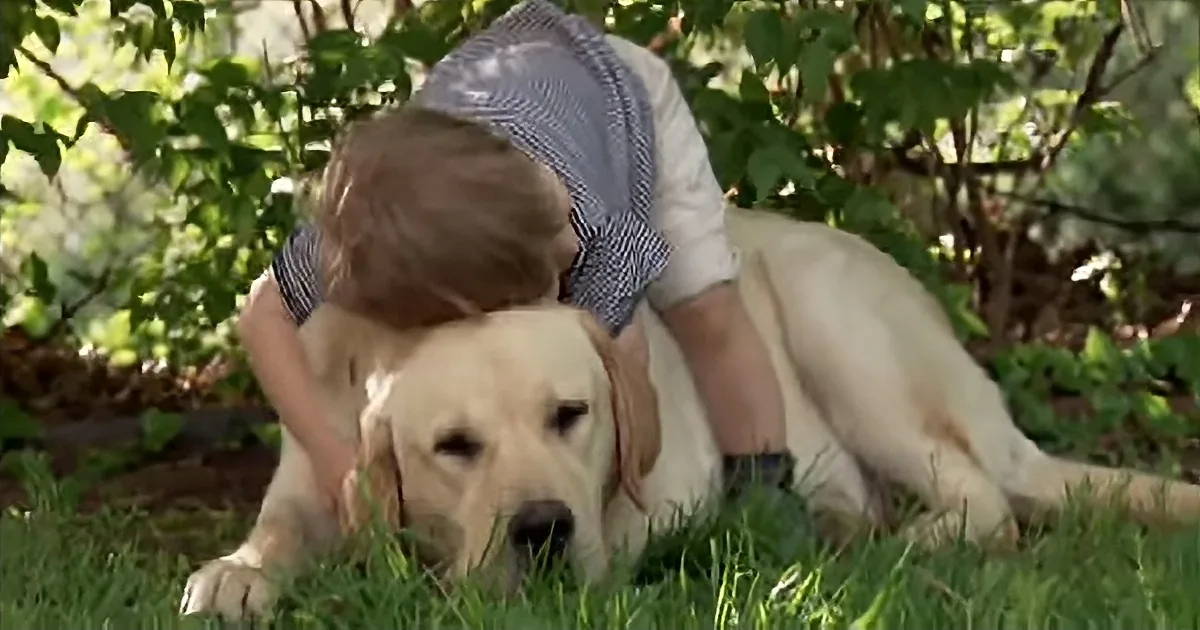 Little Boy Crawls on Top of This Big Dog -- but It Was the Dog''s Response That Had Me Awestruck!