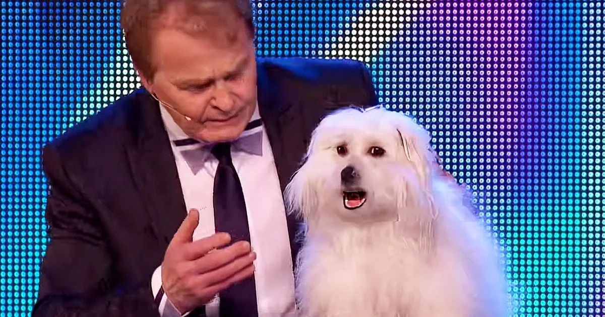 When He Walked on Stage With His Dog, Simon Never Expected to See Them Do This!