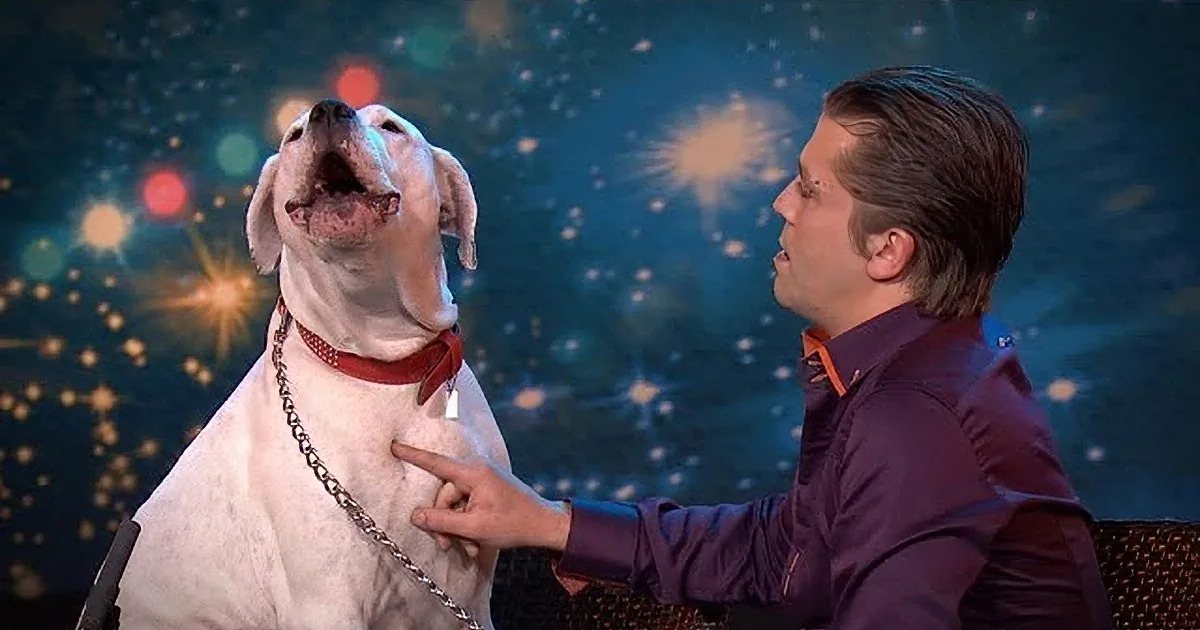 A man in a purple shirt pets a white dog with a red collar against a starry background.