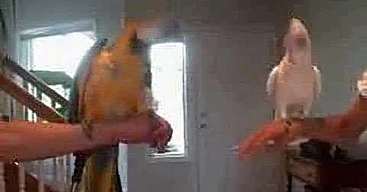 That Bird Challenges His Friend to a Dance-off. but What Happens Then? I Can''t Stop Laughing!