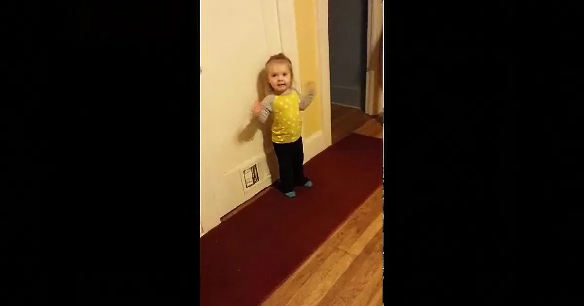 This Little Girl Is Only 2 Yrs Old. so You''re Going to Be Shocked When You Hear Her Say This!
