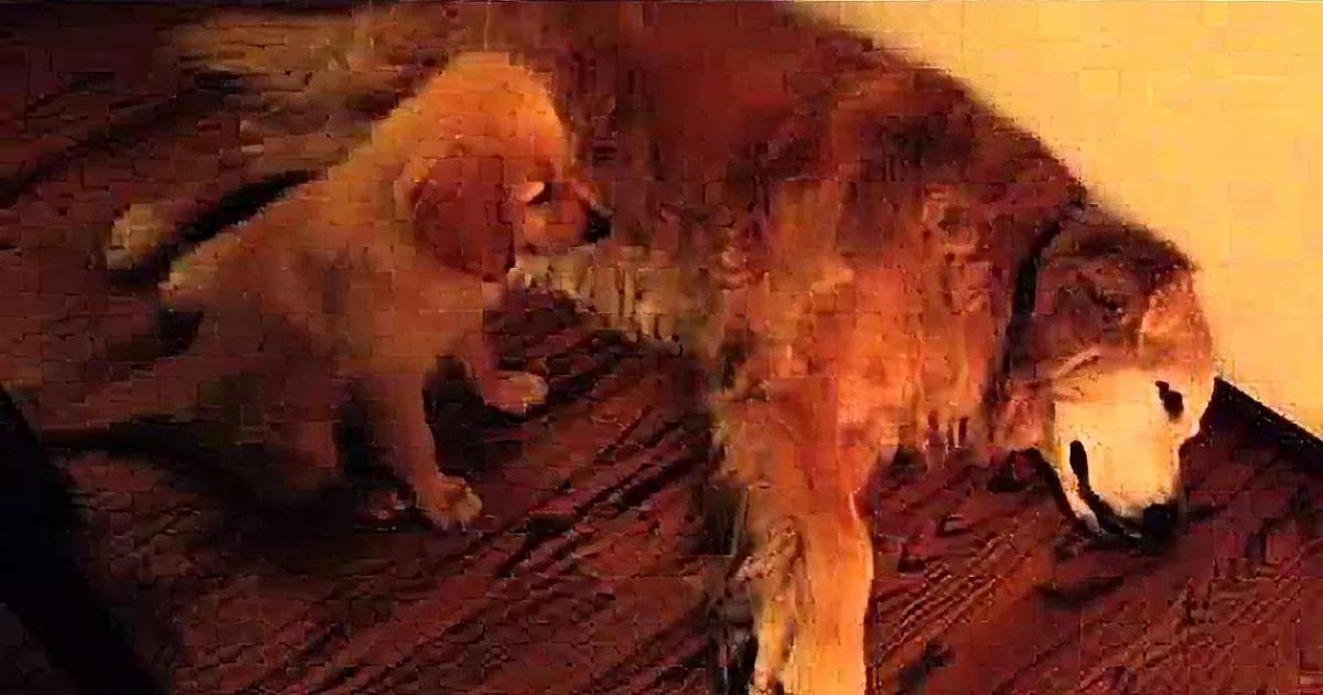 A golden retriever puppy and an adult dog are interacting on a wooden floor.