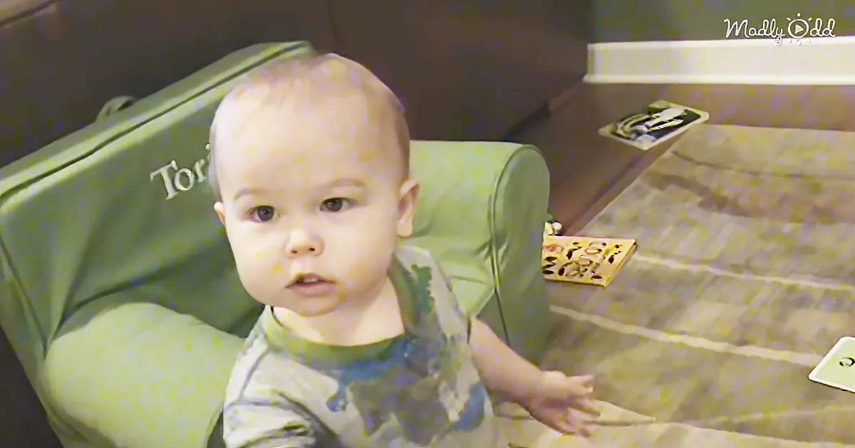 A baby sits in a high chair, wearing a green shirt, with a green bag labeled "Tori" behind them.