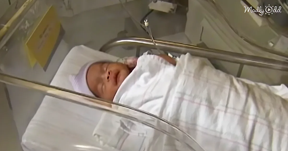 Thanksgiving Miracle Baby Stuns Doctors and His Delighted Parents