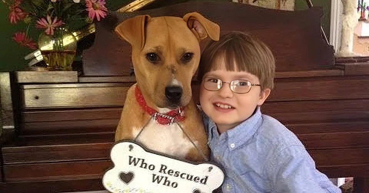 A boy with glasses smiles next to a dog wearing a sign that reads "Who Rescued Who."