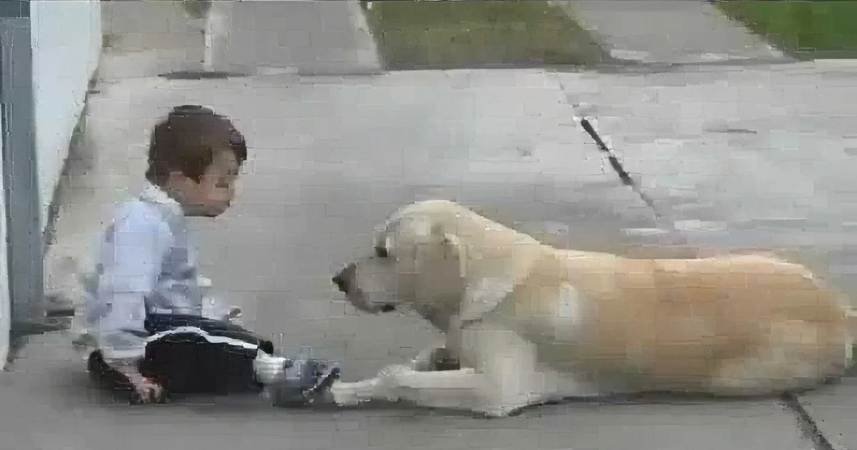 A young boy sits on the sidewalk, interacting with a large, light-colored dog lying down nearby.