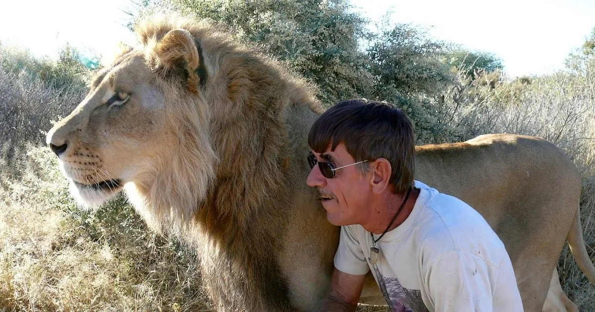 A man in a white shirt is interacting closely with a lion in a natural setting.