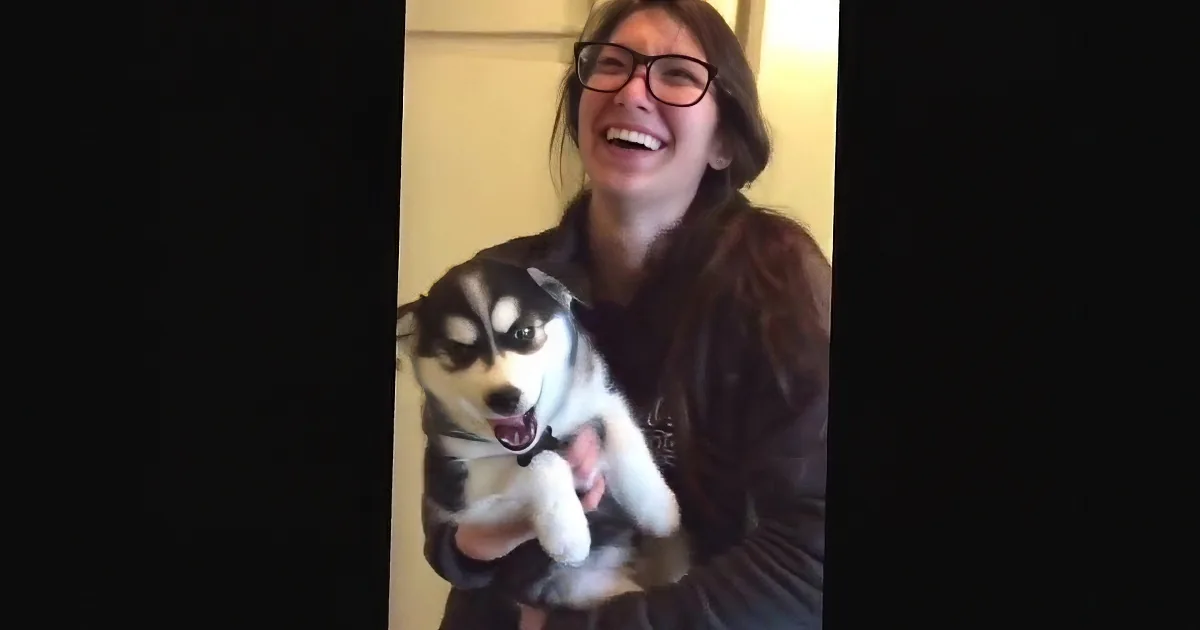 She Picked up Her Little Puppy. but When He Opens His Mouth? She Wasn''t Expecting That!