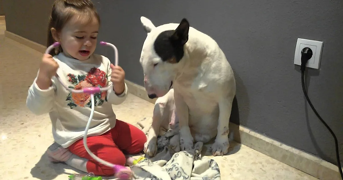 A young girl plays with a stethoscope while a white dog watches, both on a tiled floor.