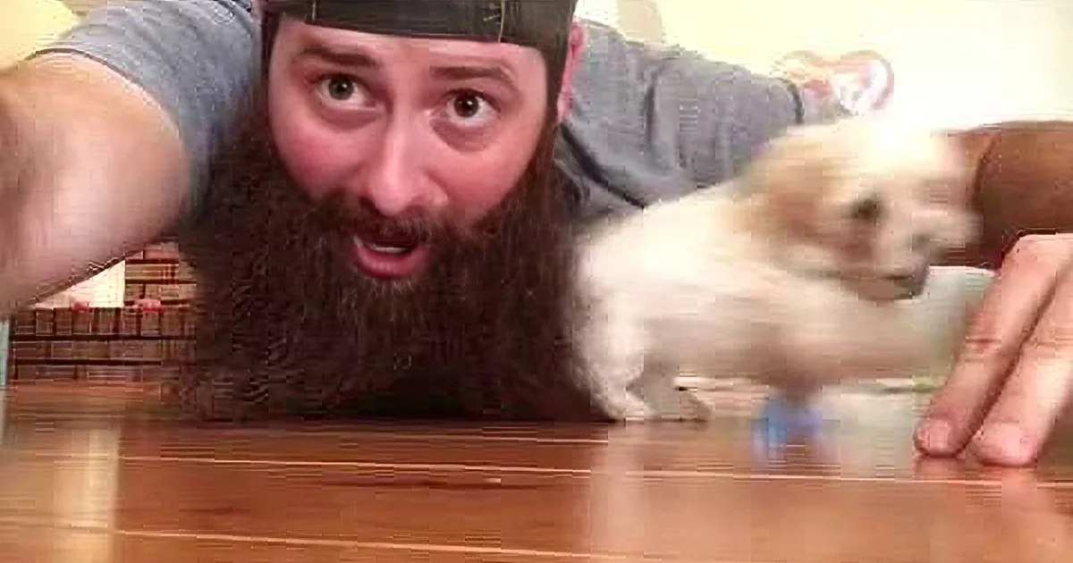 Watch What Happens in This Rare Duck Dynasty Audition Video. You'll Bend Over Laughing!