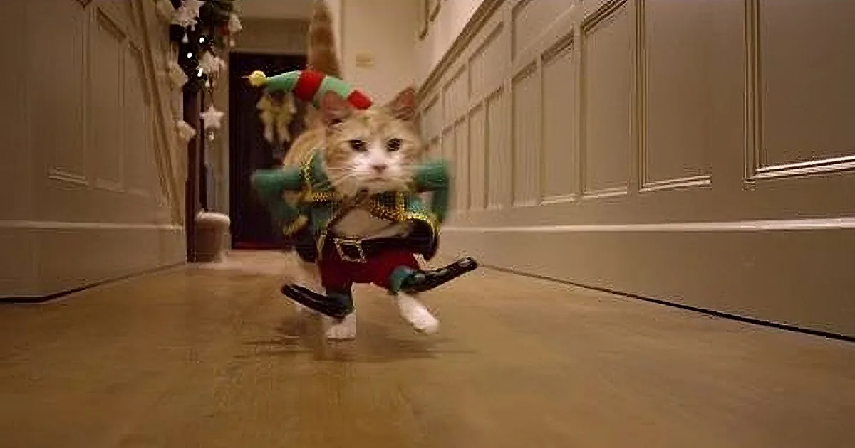 A cat dressed as an elf, wearing a green outfit and hat, stands on a wooden floor in a hallway.