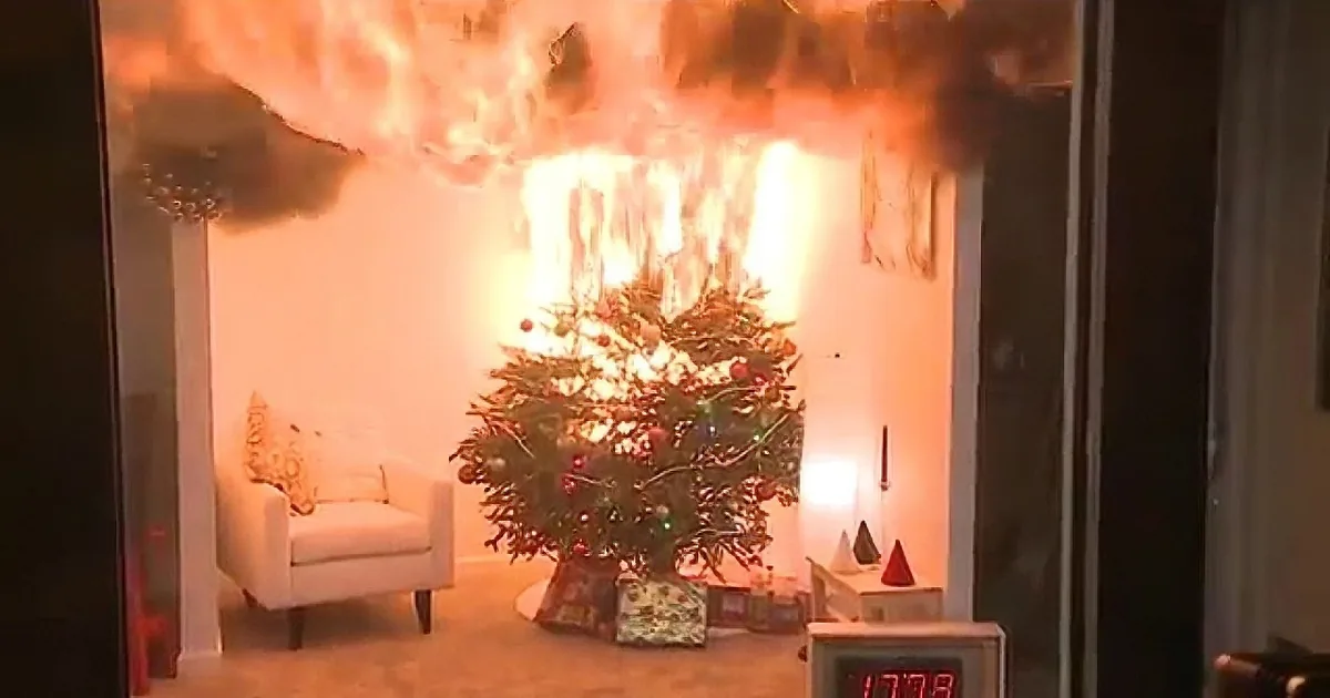 They Do This to the Family Christmas Tree, but 40 Seconds Later, the Room Goes up in Flames!