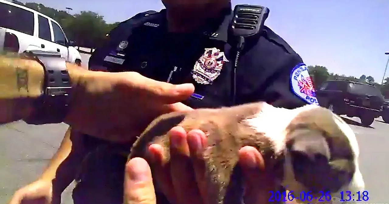 Watch These Hero Police Officers Save a Very Tiny Puppy From a Hot, Parked Car