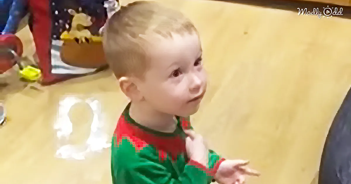 When This Little Boy Sees Santa''s Footprints Downstairs, His Expression Is What Christmas Is All About