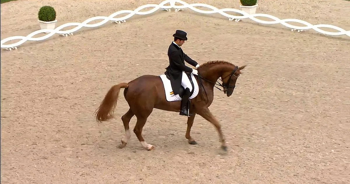Beautiful Horse Displays Some Mind-Blowing Moves During This Dressage Show! Amazing!