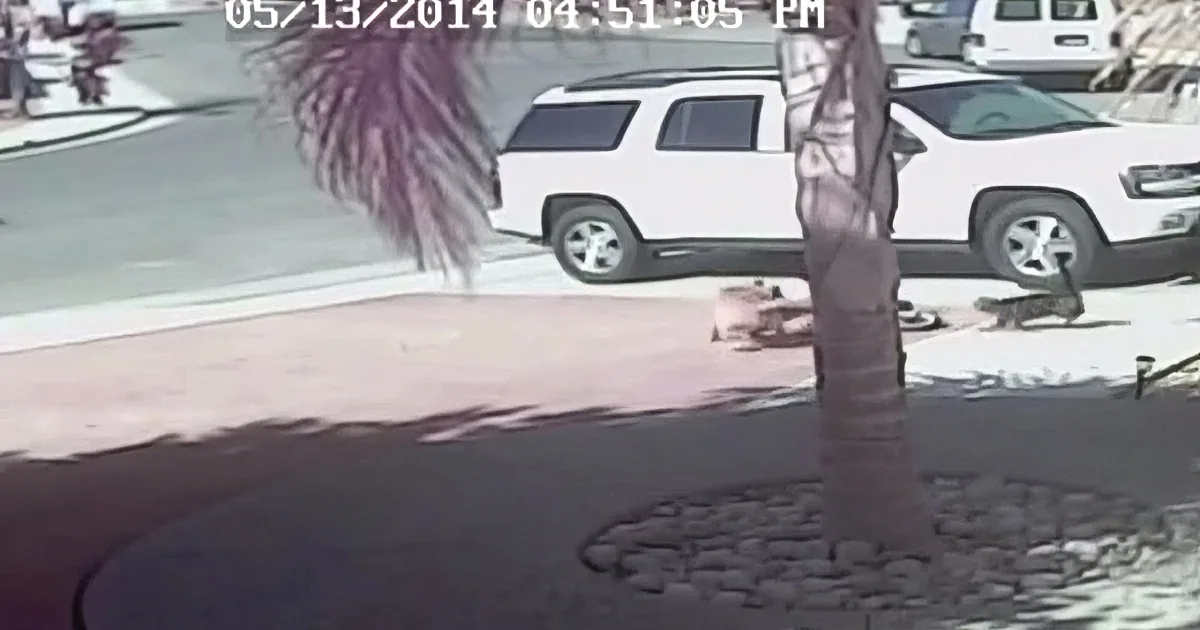 A white SUV is parked on a street with a palm tree and a person in boots standing nearby.