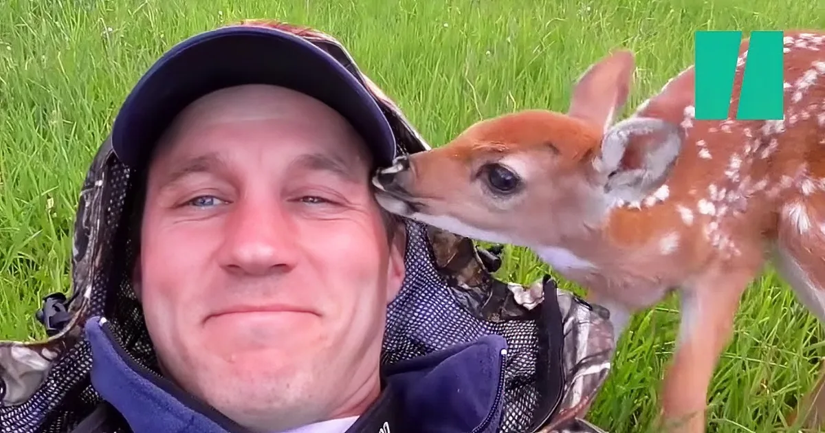 Newborn Fawn Was Abandoned by Mom, but Then This Touching Thing Happened!