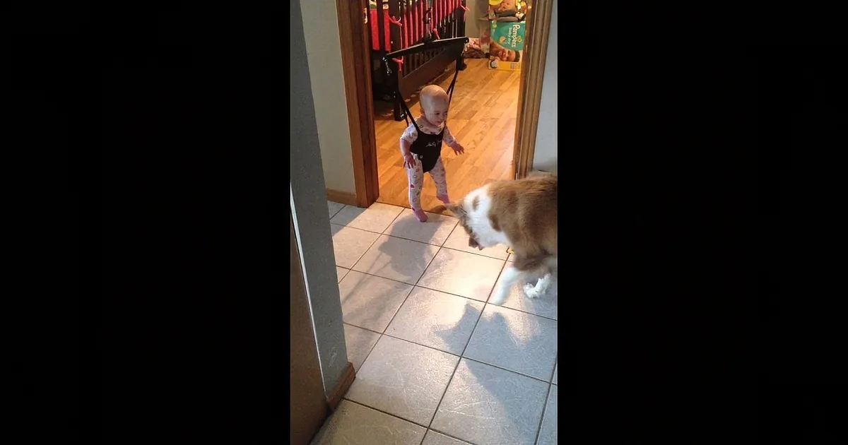 This Is the Cutest Jumping Contest Between Dog and Baby, and Funny Too! LOL!