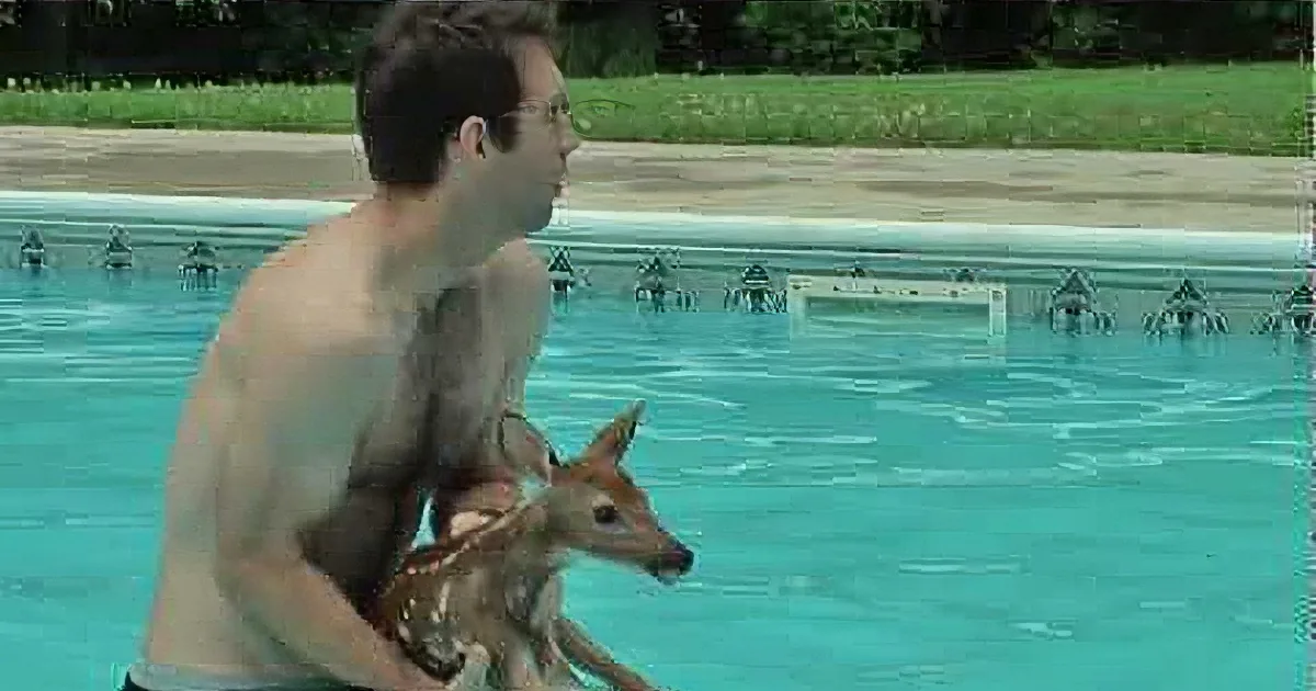 Man Rescues Baby Deer From Pool, but Wait Till You See What the Deer Does Next! OMG!