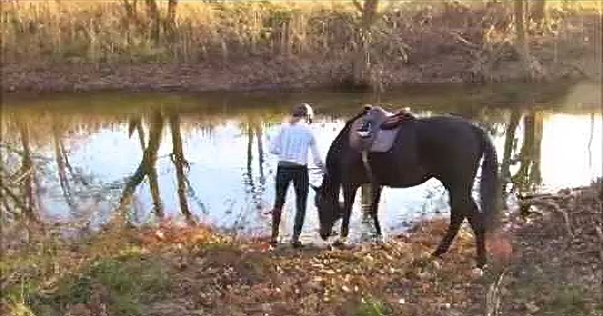 A person in white shirt and black pants stands beside a dark horse near a calm pond with reflections of trees.