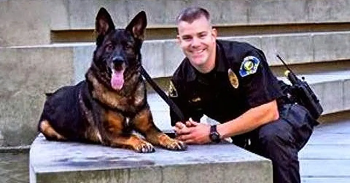 A police officer and a German Shepherd dog are sitting on a concrete bench, smiling.