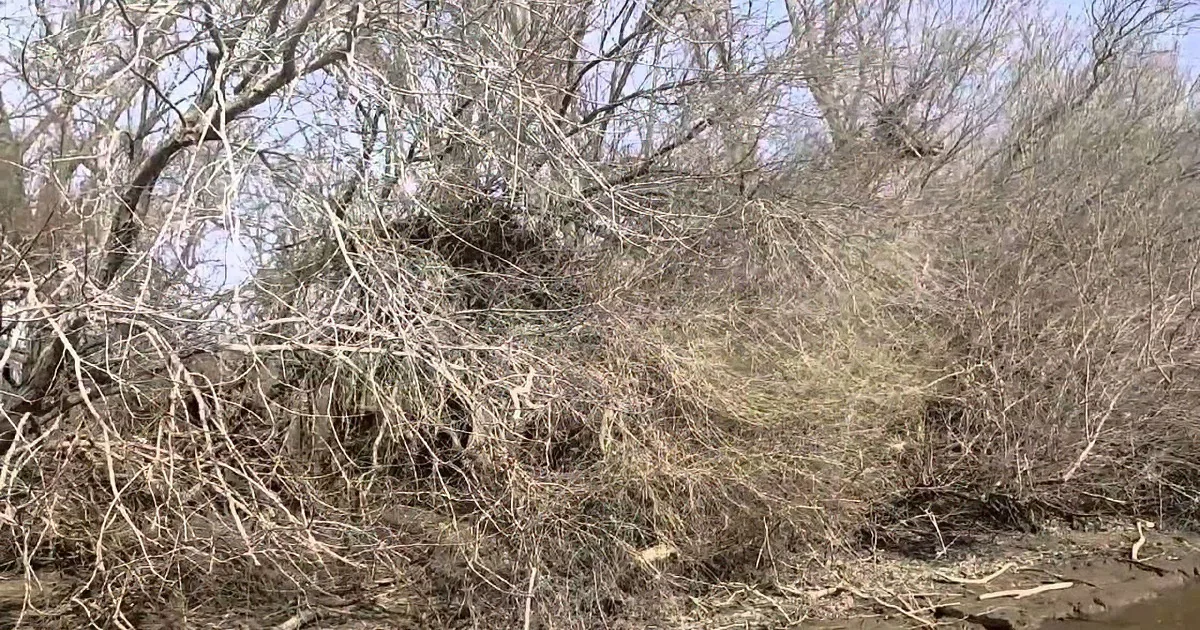 Fishermen Saw Abandoned and Starving Dog. What They Did for Him? Tear Jerking.