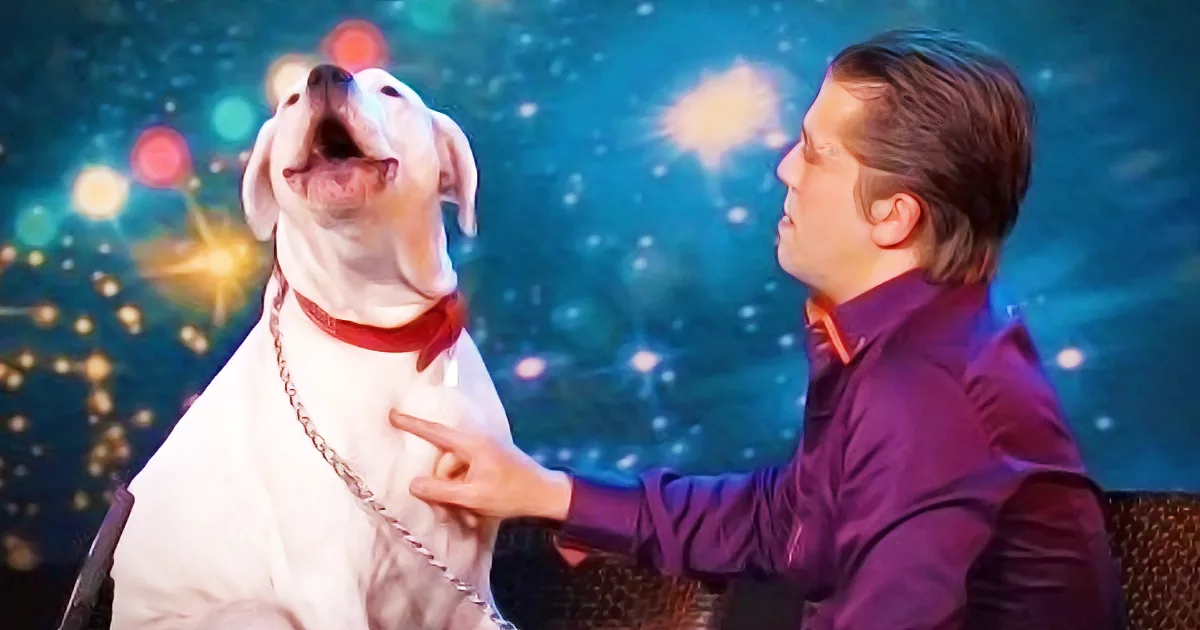 A man in a purple shirt pets a white dog with a red collar against a colorful, starry background.