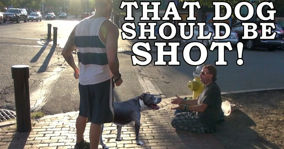 A man in a striped tank top stands on a sidewalk, facing a man sitting with a dog, as text overlaid says "THAT DOG SHOULD...